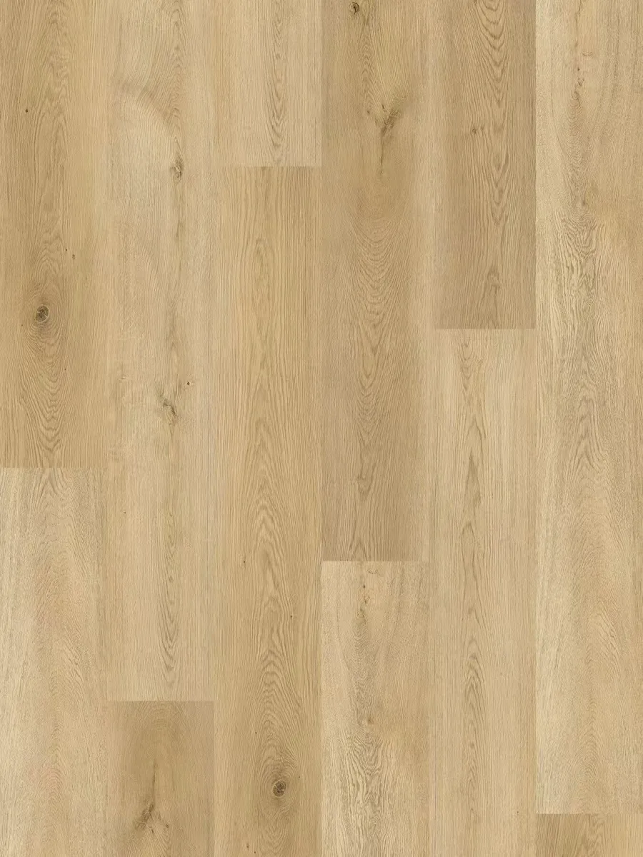 Alana 800 - Berne Oak