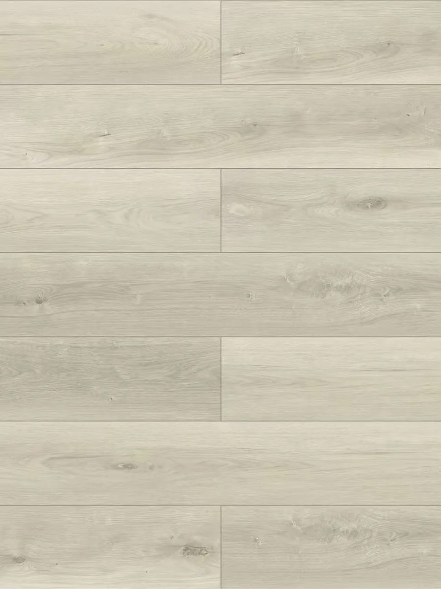 Alana 800 - Caesar Oak